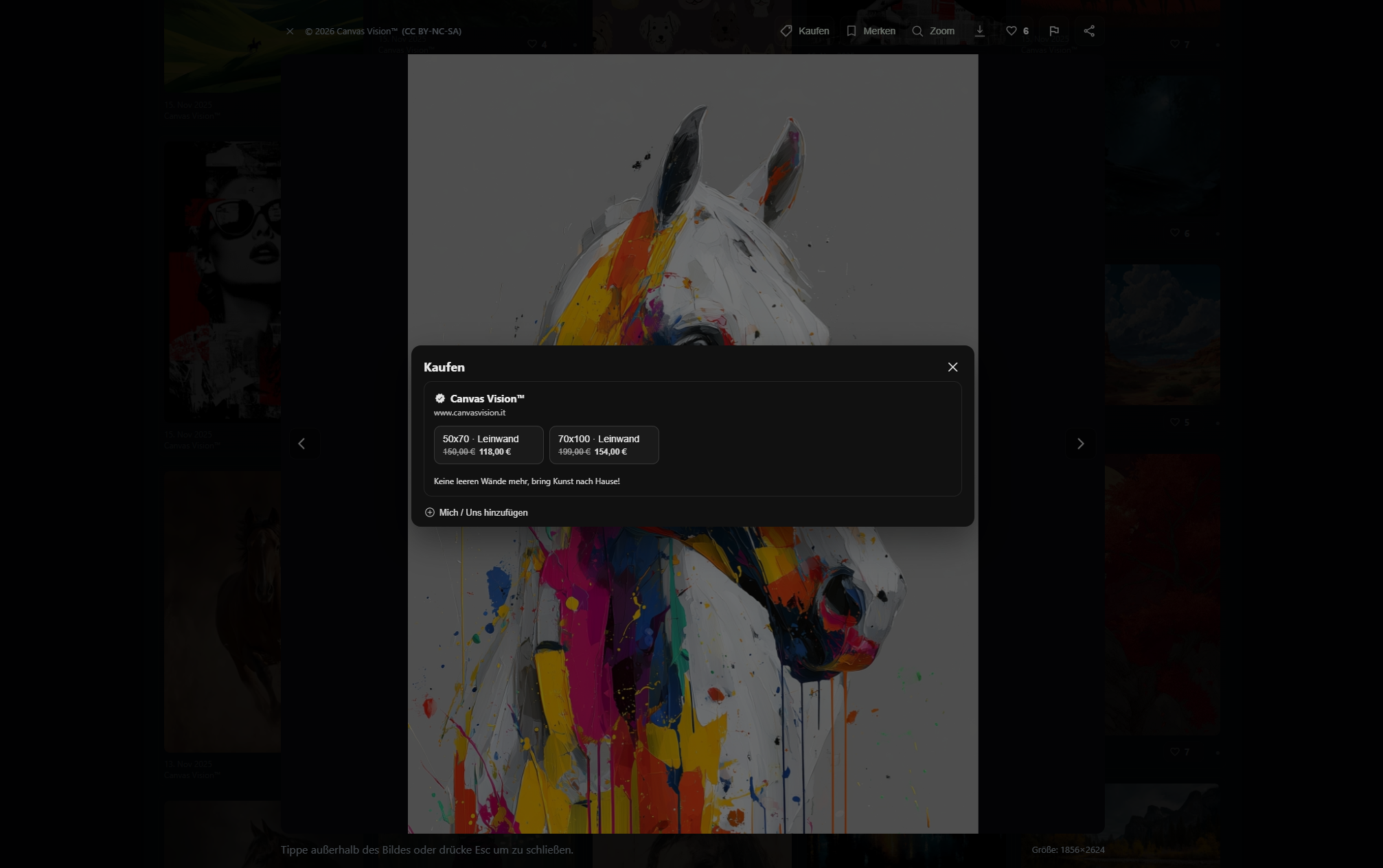 Canvas Vision™ (Community) – Fotos 3